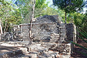 Mayan pyramid, Coba, Mexico