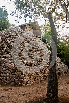 Mayan Pyramid in Coba. Mexico. Yucatan
