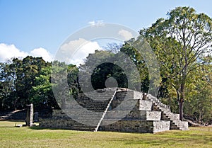 Mayan Pyramid CopÃ¡n, Honduras