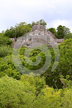 Mayan pyramids in Calakmul campeche mexico VII