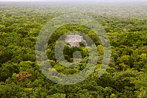 Mayan pyramids in Calakmul campeche mexico XII