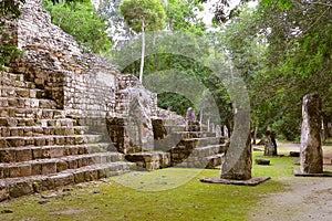 Mayan pyramids in Calakmul campeche mexico XX