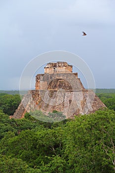 Mayan pyramids in Uxmal near merida yucatan mexico XLVI