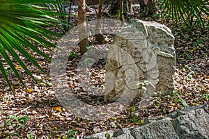 Mayan Rock photo