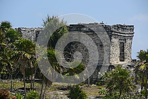 Mayan Ruins