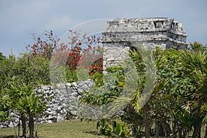 Mayan Ruins