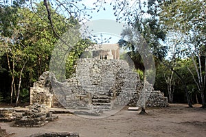 Mayan ruins at Coba, YucatÃ¡n Peninsula, Mexico