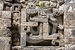 Mayan Ruins Details