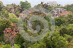 Mayan ruins in jungle Tikal