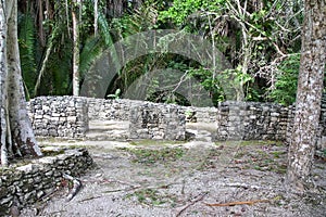 Kohunlich Mayan Ruins of Quintana Roo photo