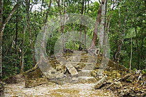 Mayan ruins overgrown by roots and plants in the rainforest of Peten, Yucatan