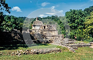 Mayan ruins in Palenque, Chiapas, Mexico. UNESCO World Heritage