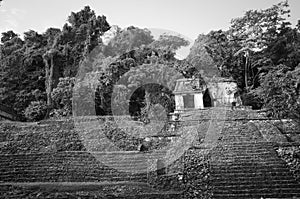 Mayan ruins in Palenque, Mexico