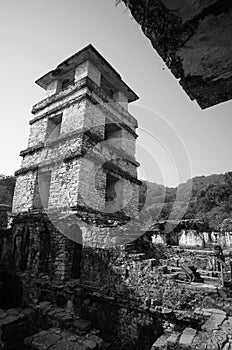 Mayan ruins in Palenque, Mexico