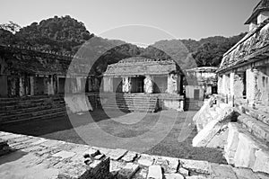 Mayan ruins in Palenque, Mexico