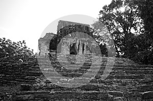 Mayan ruins in Palenque, Mexico