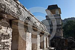 Mayan ruins in Palenque, Mexico