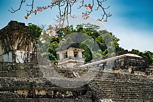 Mayan ruins in Palenque on a spring day.