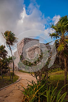 Mayan ruins restored in Tulum, Mexico, Riviera Maya, Yucatan. Ancient buildings from the maya empire hundreds years ago photo