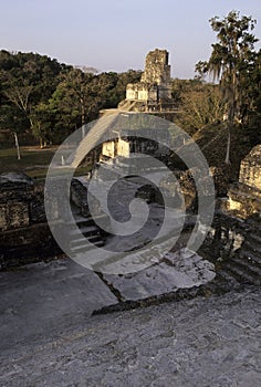 Mayan ruins- Tikal, Guatemala photo