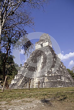 Mayan ruins- Tikal, Guatemala