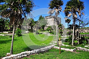 Mayan Ruins of Tulum archeological site, a pre-columbian Mayan City, Tulum, Quintana Roo, Yucatan, Mexico, Central America. photo