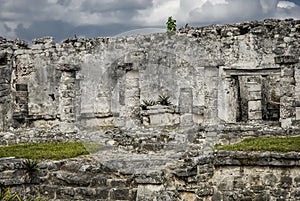 Mayan ruins of Tulum, Mexico