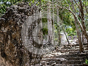 Mayan stela in the Mexican jungle with hieroglyphic writing in C