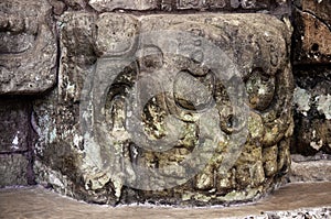 Mayan stone carving, CopÃ¡n