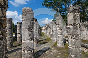 Mayan Stone Columns