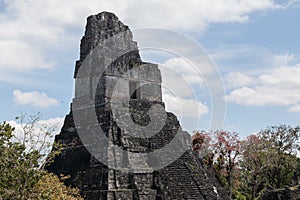 Mayan temple pyramid archeological excavation. Tikal, Guatemala