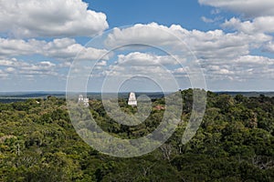 Mayan temple pyramids over rainforest of Tikal, Guatemala