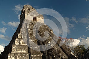 Mayan Temple in Tikal, Guatemala