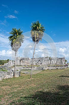 Mayan Temple at Tulum Mexico with palm trees