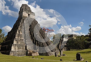 Mayan tikal ruins, guatemala photo