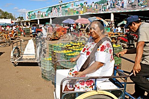 Mayan Woman, Fruit Market, Yucatan, Mexico