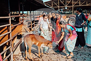 Mayapur, West Bengal, India - February 7, 2020. multinational group of teenage girls on a field trip to the Indian cow farm