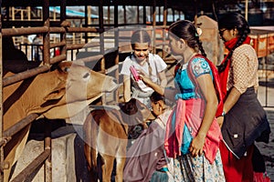 Mayapur, West Bengal, India - February 7, 2020. multinational group of teenage girls on a field trip to the Indian cow farm