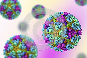 Mayaro virus illustration photo