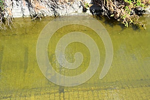 river Nette with stone base riverbed