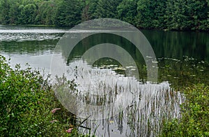 Mayflower lake in Arrowhead provincial park