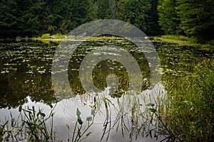 Mayflower lake in Arrowhead provincial park