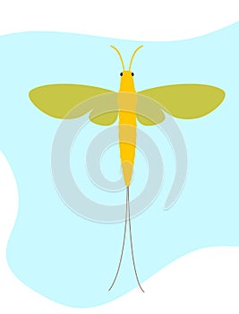 Mayfly Insect Clipart Vector