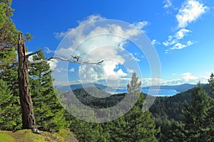 Mayne Island Panorama from Mount Parke, British Columbia, Canada