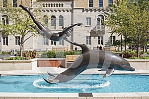 Mayo Clinic public art boy with dolphin