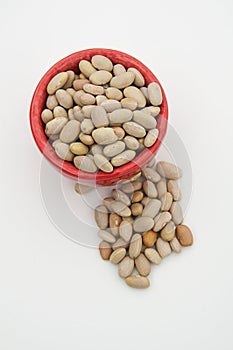 Mayo Coba dried beans