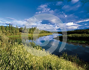 Mayo River in Yukon