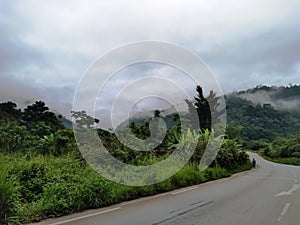 Mayombe Forest on National Road 1 in Congo BrazzavilleShot by Arnaud RÃ©gis HOUALEMBO on April 17, 2022