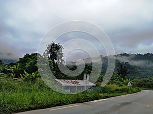 Mayombe Forest on National Road 1 in Congo BrazzavilleShot by Arnaud RÃ©gis HOUALEMBO on April 17, 2022