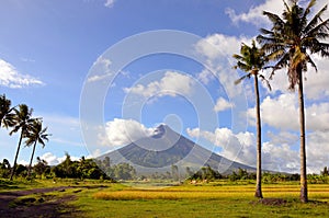 Mayon Volcano